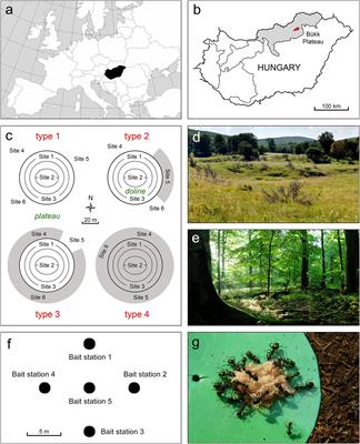 Karstic Microrefugia Host Functionally Specific Ant Assemblages